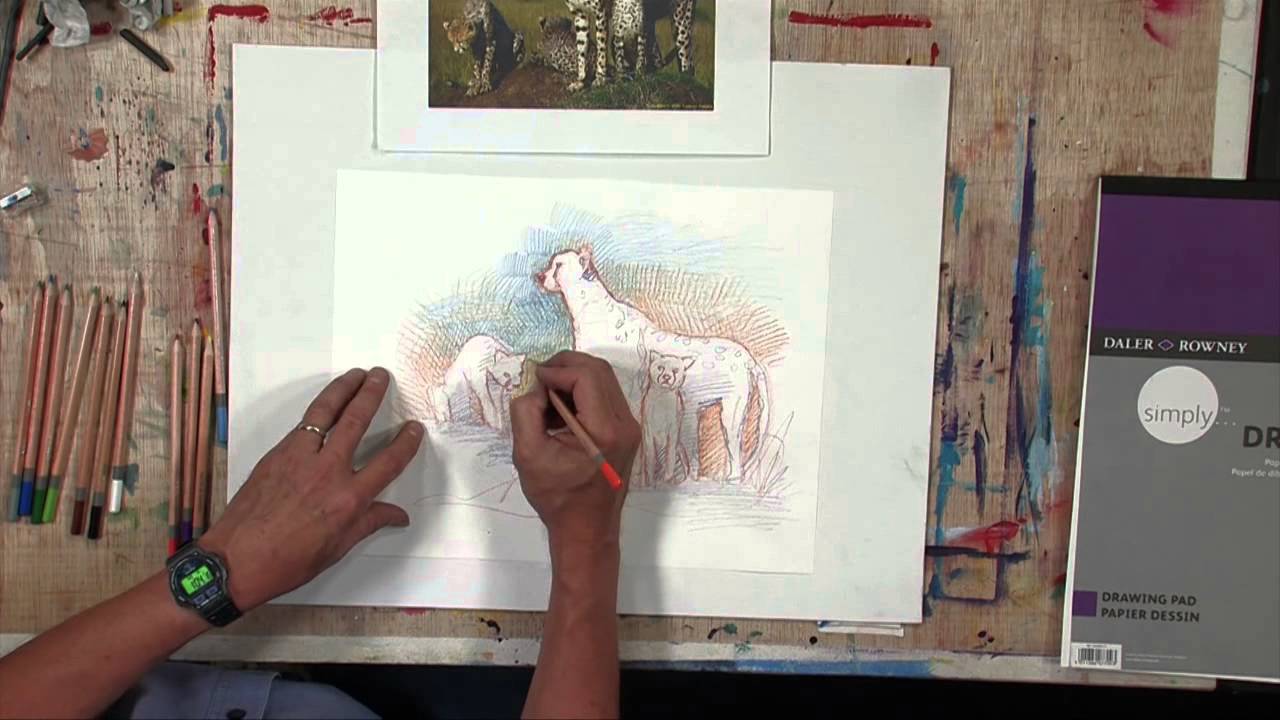 Daler-Rowney - Simply Drawing - Drawing with Coloured Pencils