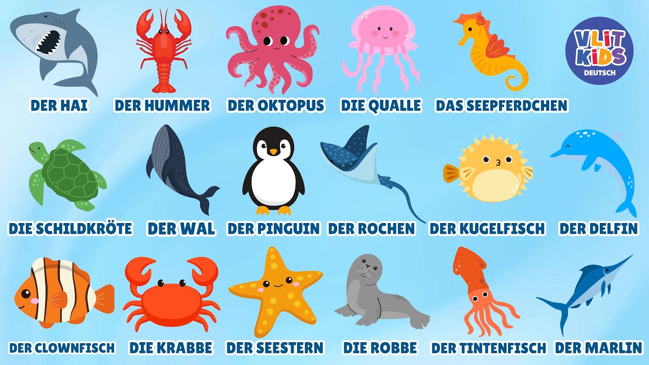 Meerestiere für Kinder 🐠 Deutsch lernen: Hai, Wal, Delfin & mehr! | Für Kleinkinder