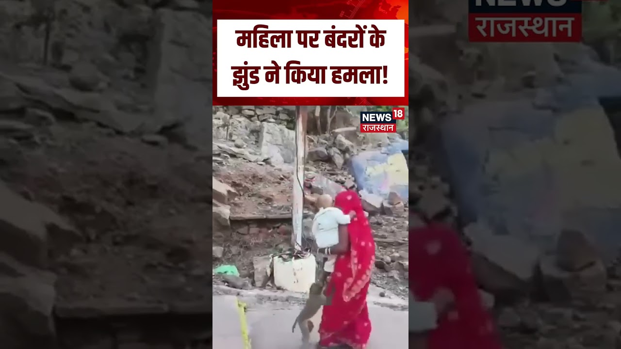 Monkey  Viral Video :सड़क पर जा रही महिला को बंदरों ने घेरा!| N18S | Monkey | Viral Video| Top News