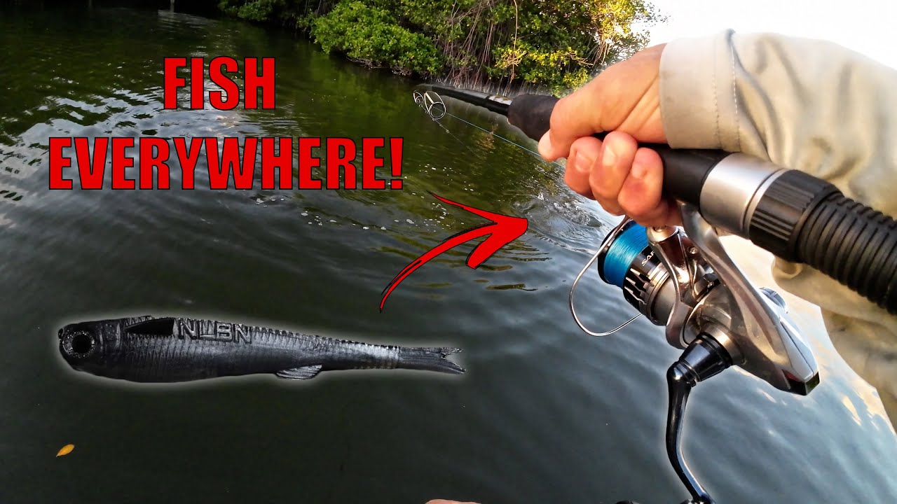 This Lure Catches Everything! NLBN Mini Mullet