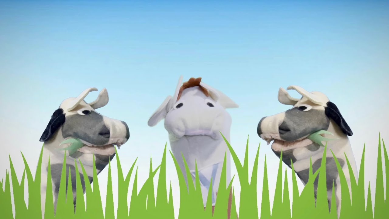 Cow and Butterfly Puppet Show Remake