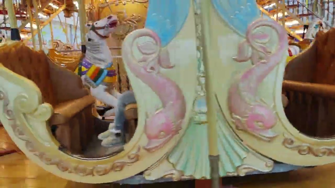 メリーゴーランド　酔うよ