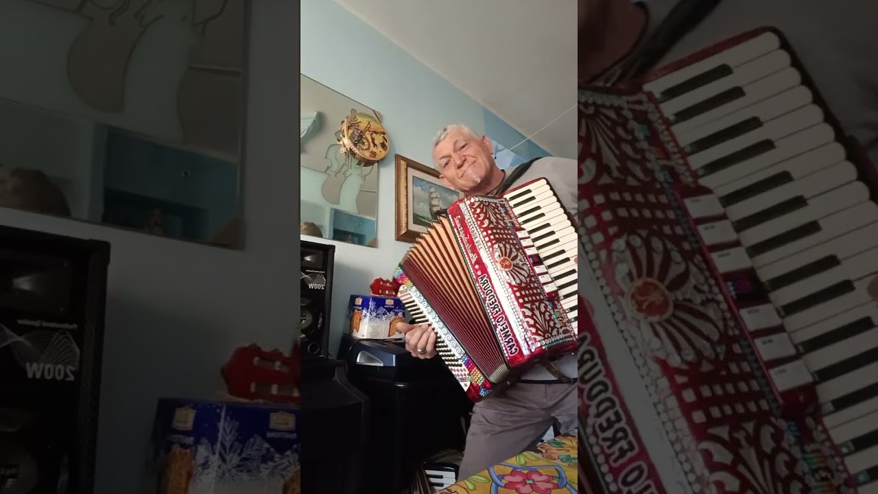 La musica che piace a tutti 😂 con Carmelo freddura ❤️🪗😀