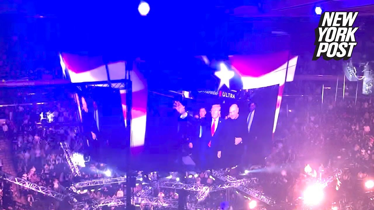 Trump greeted with thunderous applause in triumphant return to MSG for UFC 309 with Elon Musk