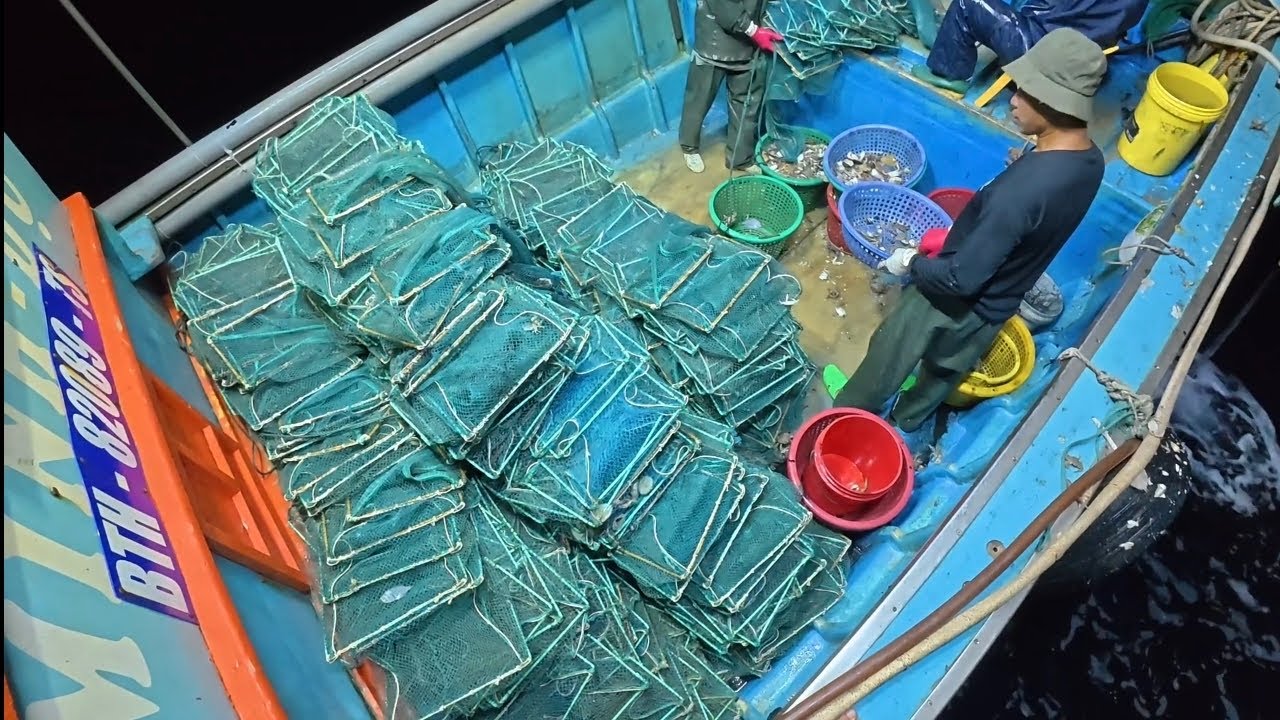 Theo chân ngư dân lênh đênh trên biển đánh bắt cá