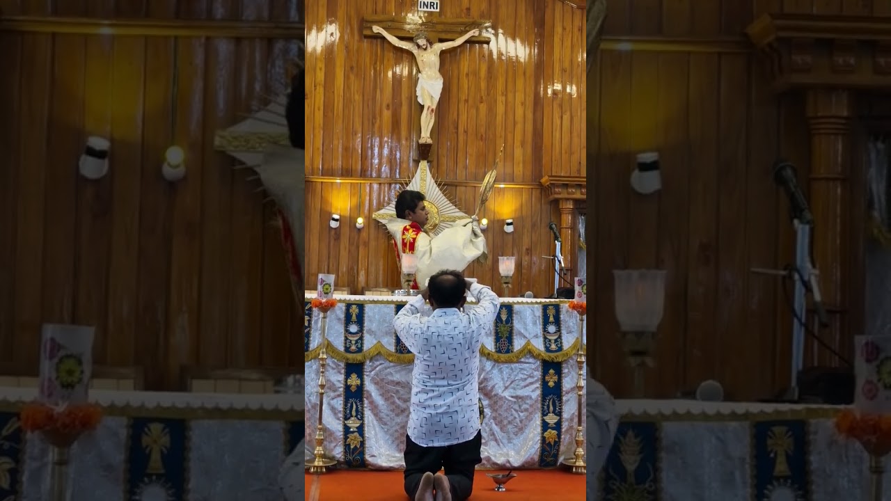 st antony shrine kalidaikurichi#velankani #st #hailmary #trading #stmarys #live #song #hailmarytv