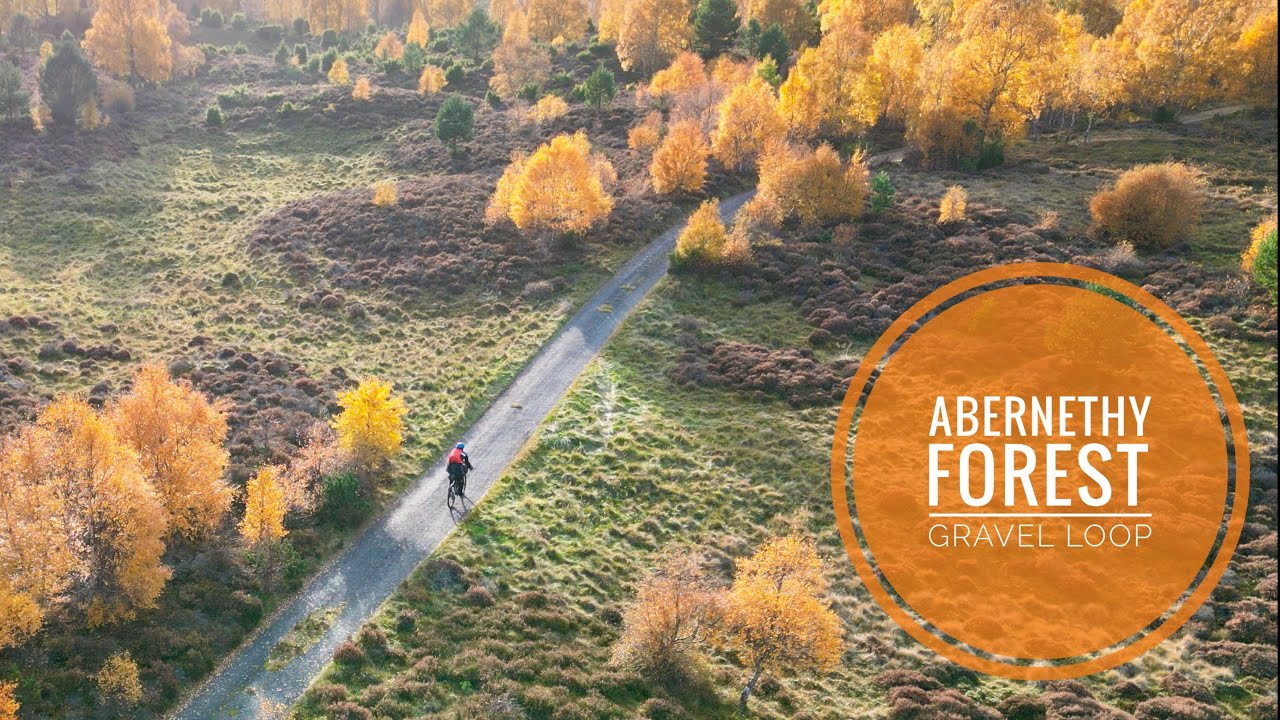 Gravel Ride in Abernethy Forest, Nr Aviemore, Cairngorms 🚵🏻‍♂️