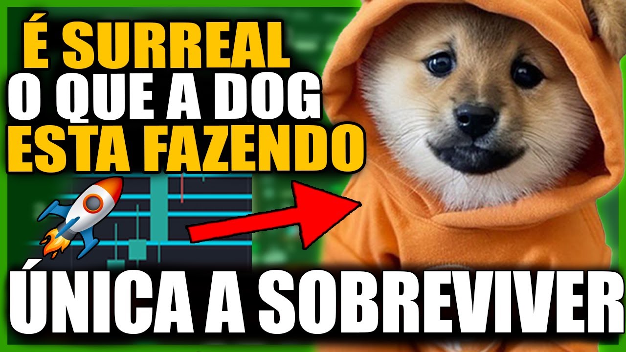 🚨 DOG GO TO THE MOON URGENTE! SURPREENDENTE O QUE ACONTECENDO | CRIPTOMOEDA MEMECOIN BITCOIN