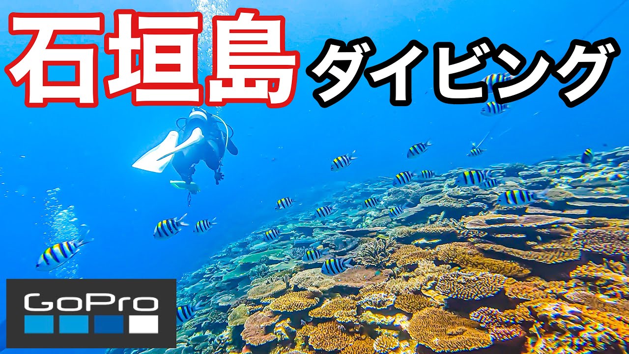 【GOPRO HERO10】沖縄 石垣島でダイビング！綺麗すぎるサンゴ礁！