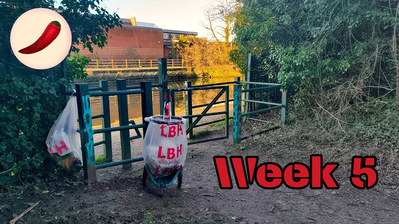 Cleaning the same place every week  |  Week 5