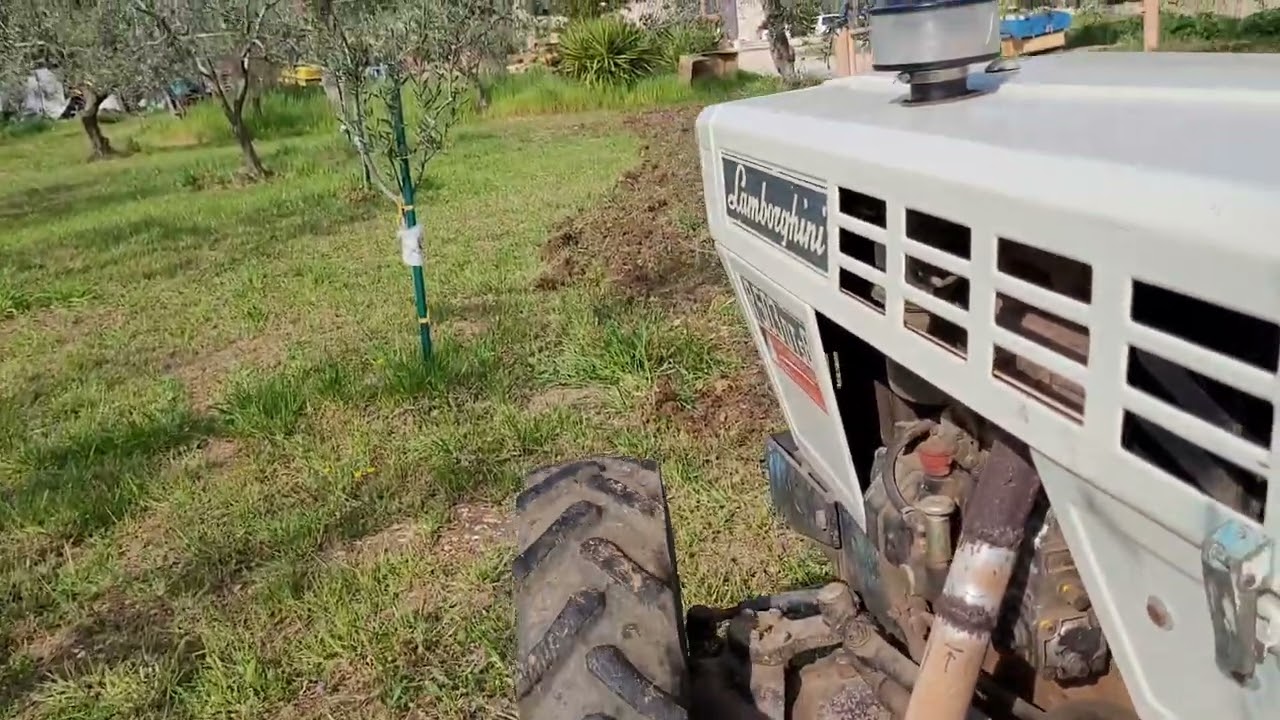 Trattore Lamborghini r503 DTsB in erpicatura uliveto
