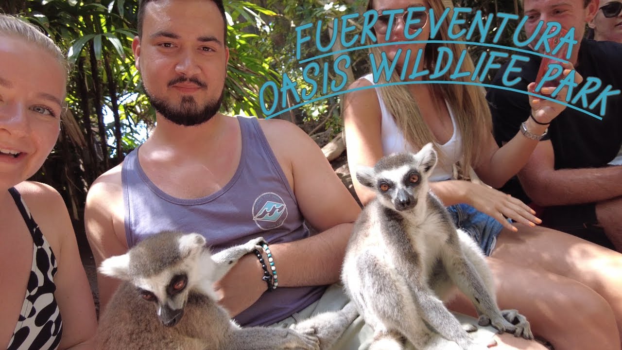 Fuerteventura 2023 4K VLOG - Oasis Wildlife, Playa de Sotavento, Ostrov Lobos , Riu Oliva 3.část