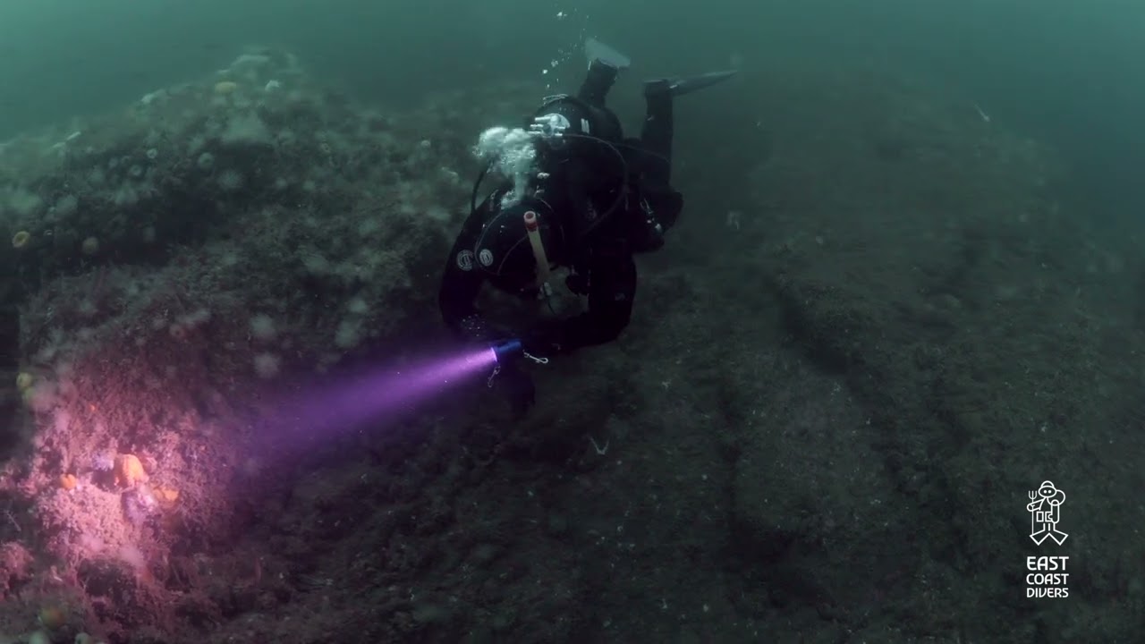 Saturday Night Ledge Dive