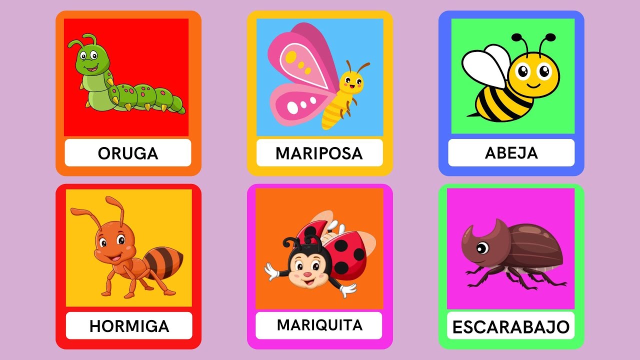 🔴🦋🐞🐜 Insectos para Niños | Aprende los Nombres de los Insectos 🐝🐛🪲 Educación y Diversión 🦗✨