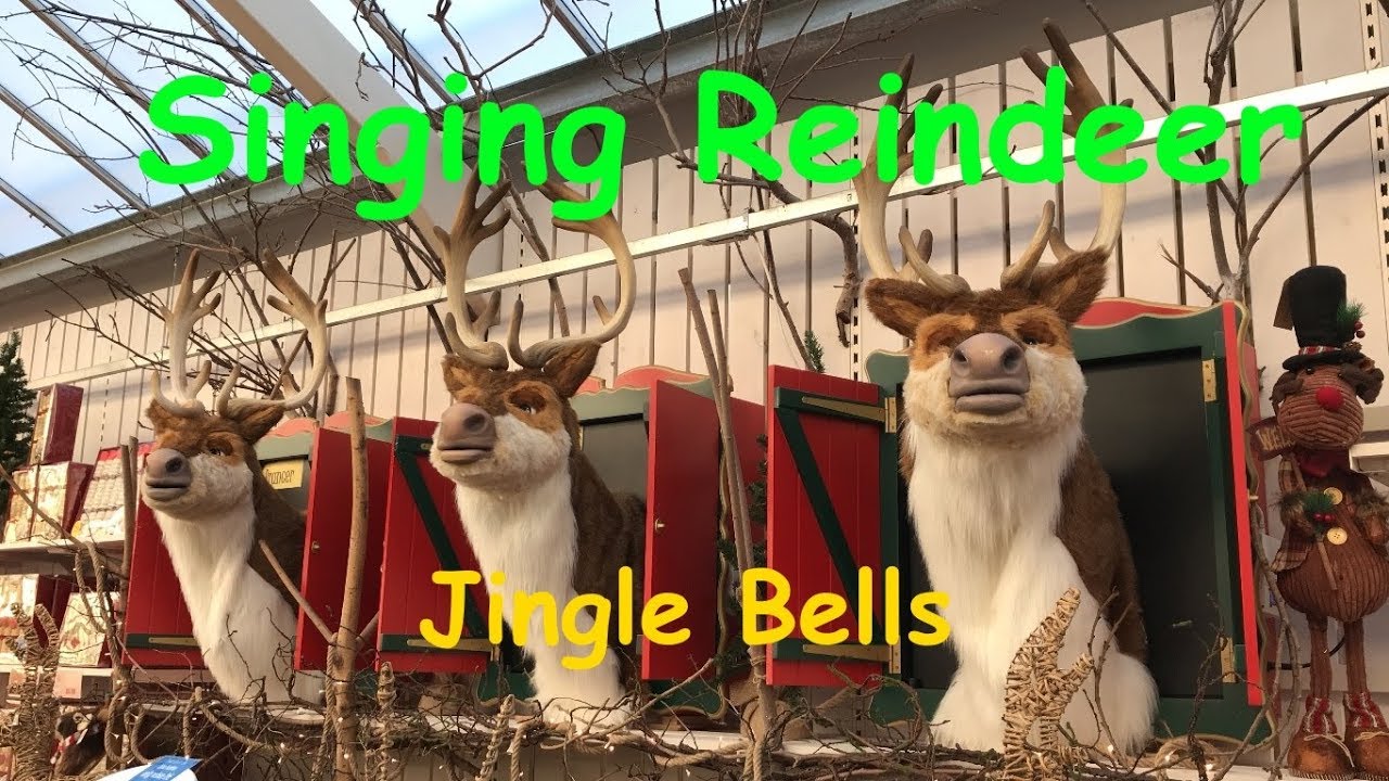 Singing Reindeers - Jingle Bells - 13 Nov 2017
