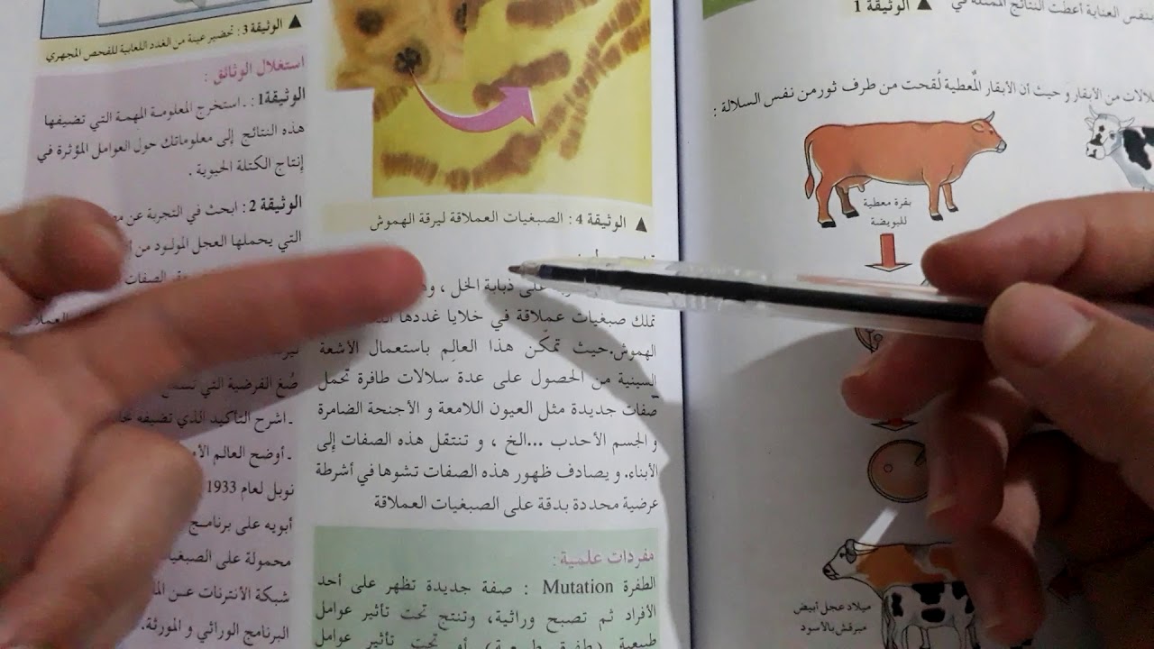 مقر العوامل الوراثية 😍