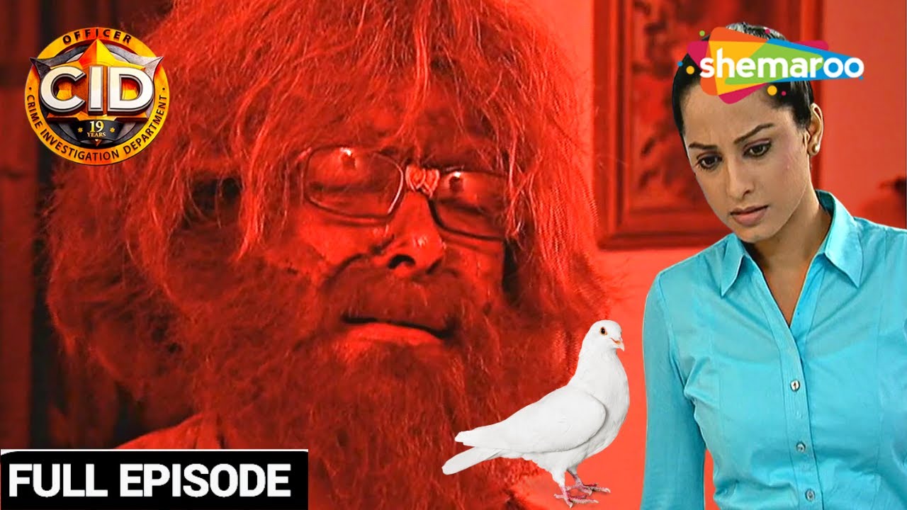 Officer Purvi's Life in Danger For A Pigeon | CID | Daya. Tarika | Death Experience || सीआईडी