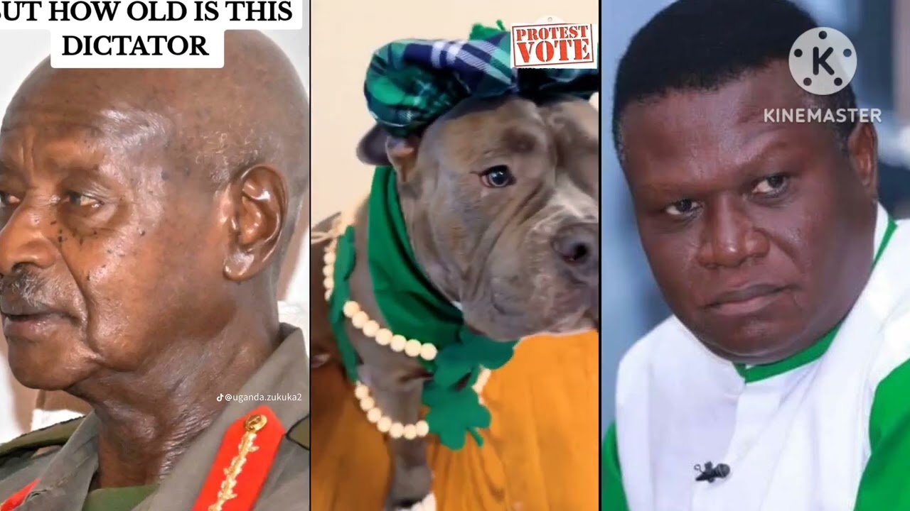 Kuluno Tebawona😀🤣🤣Latest Video By Half London President Dog Nation 2025