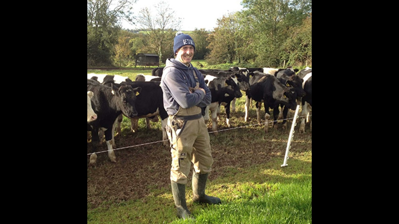 DairyBeef 500 farmer, Pat Collins, on his dairy calf-to-beef system
