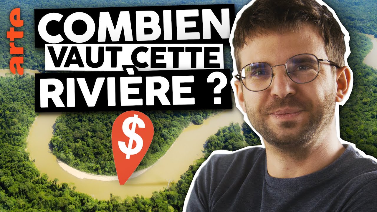 La nature a-t-elle un prix ? | Le Vortex S05E09 | ARTE