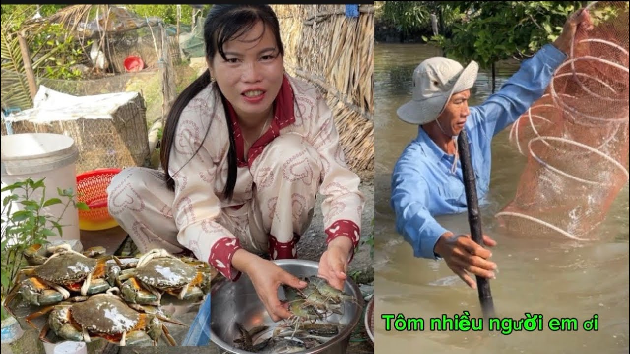 Đổ lú dưới sông chạy nhiều tôm sú bự và cua cuộc sống mưu sinh (CHCM)