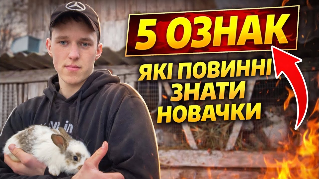 Пʼять ознак які повинні знати всі новачки.Це важливо знати😉