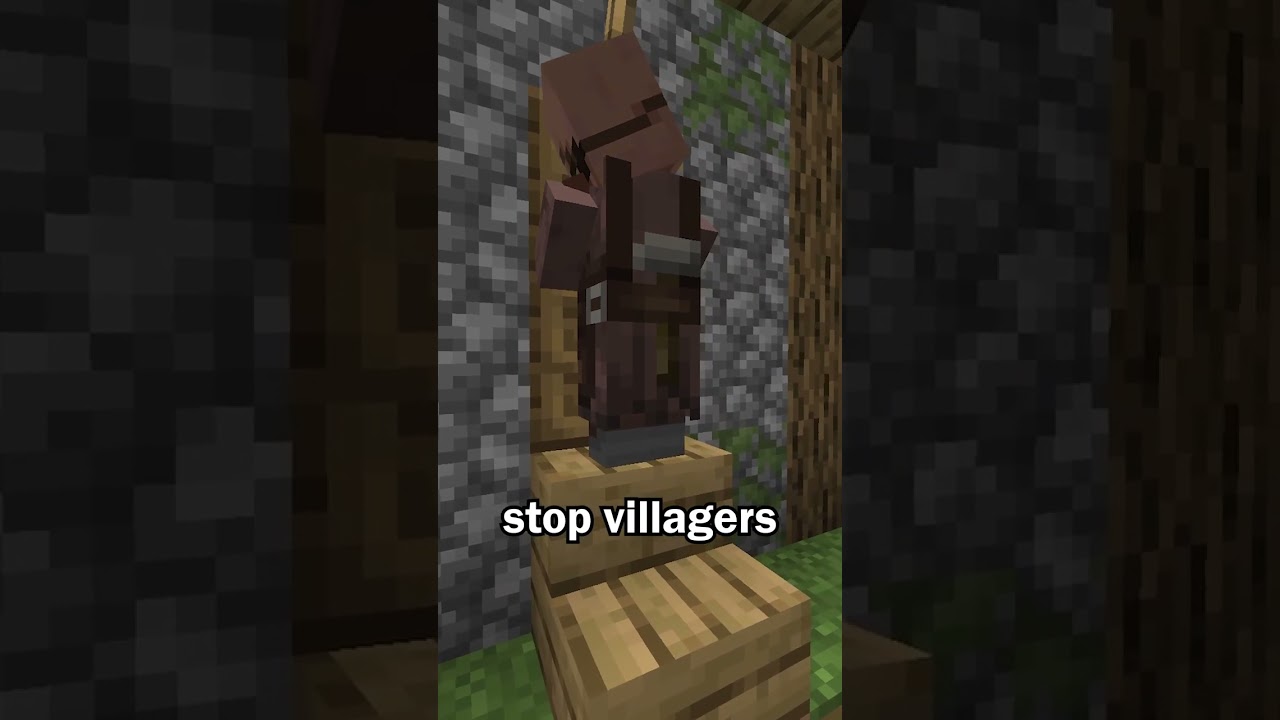 Villagers Can&rsquo;t Open this Door in Minecraft
