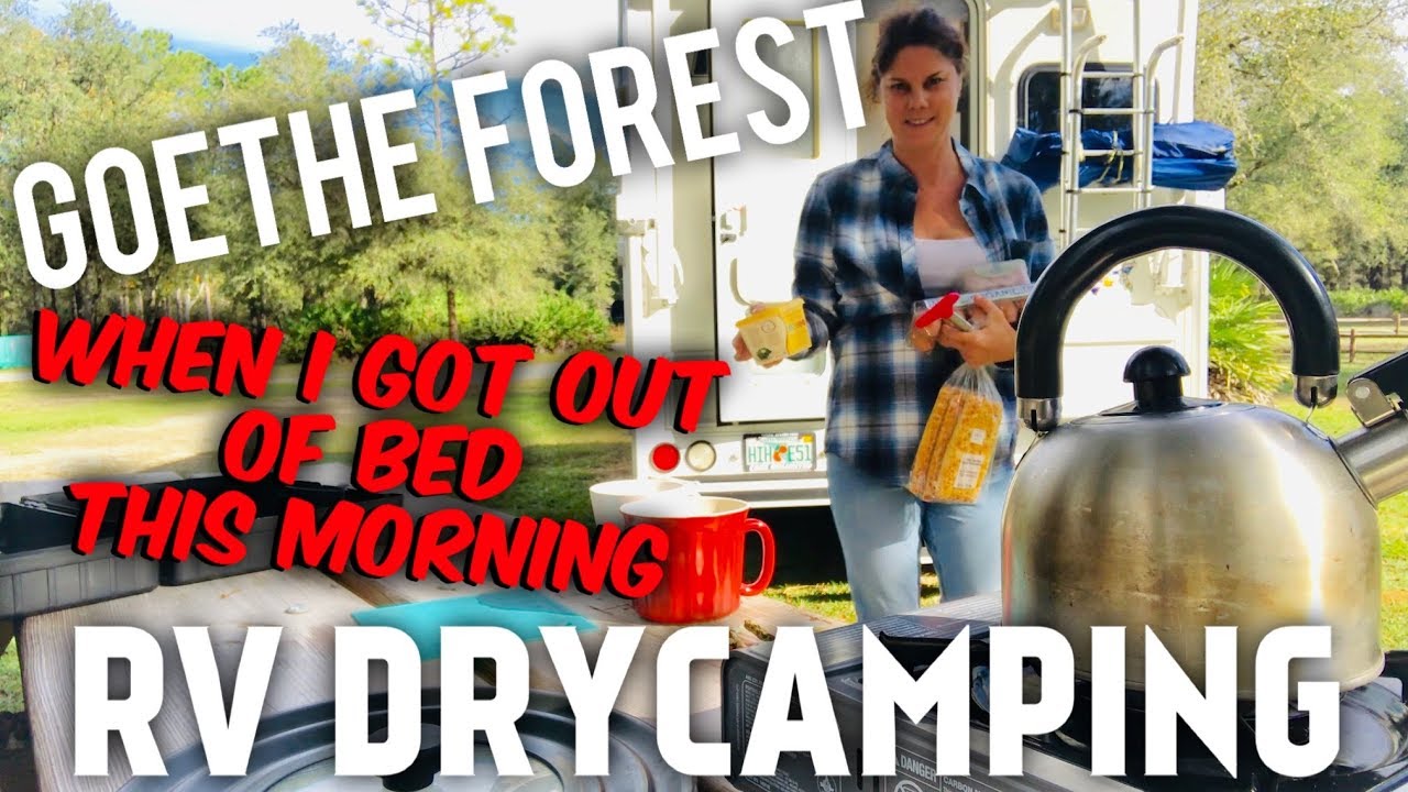 RV DRY-CAMPING IS LIKE THIS AT THE FOREST I
