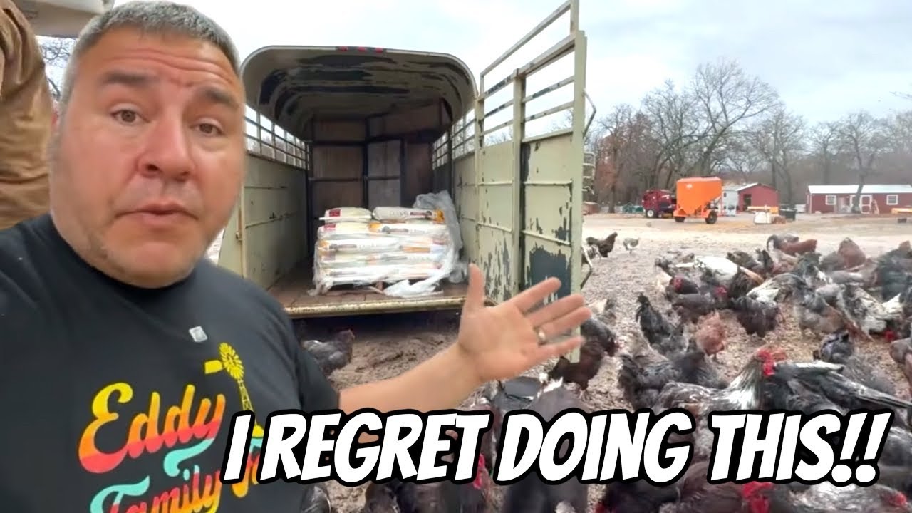 I Ignored The Warning Signs!! I Regret This Decision!!￼￼