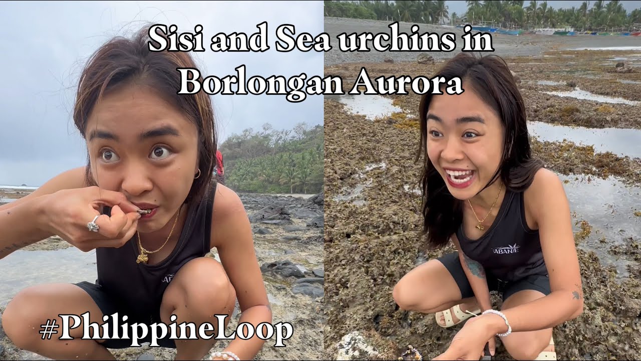 Sea Urchin and sisi in Borlongan Aurora | Philipine Loop | Norme Garcia