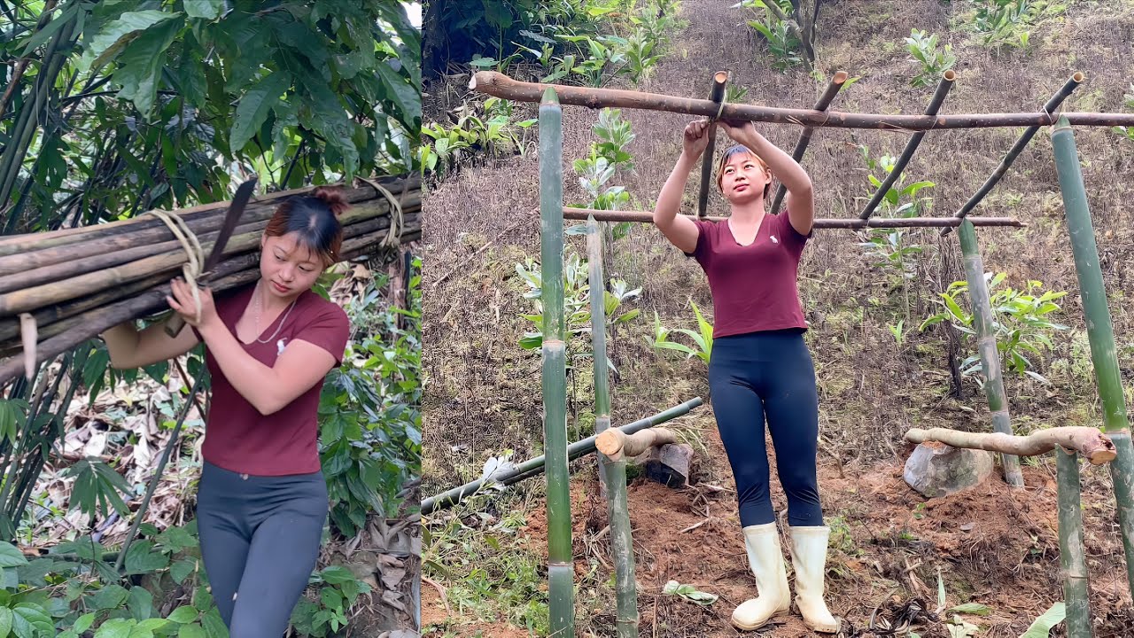Days of Living Alone | Building a Firewood Shed for an Independent Life