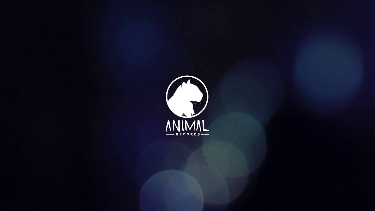 Animal Records - Live Session #1 [Bloum, Backbone, Stand Wise]