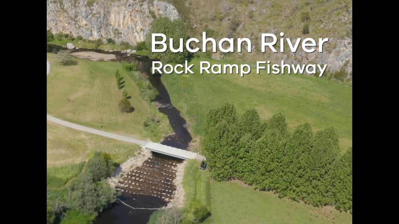 Buchan River Fishway