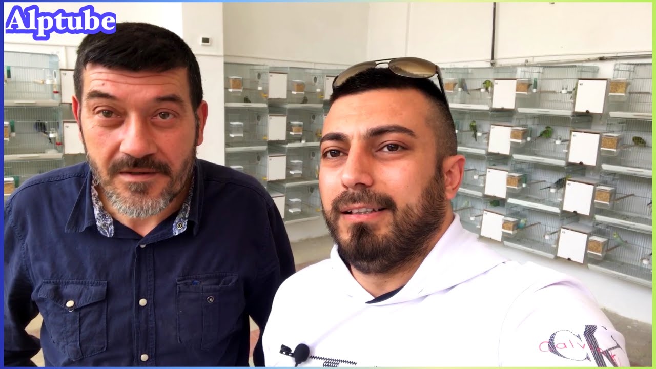 Yuvalıklarda Yeni Sistem / Muhabbetkuşu Üretimhane Ziyareti