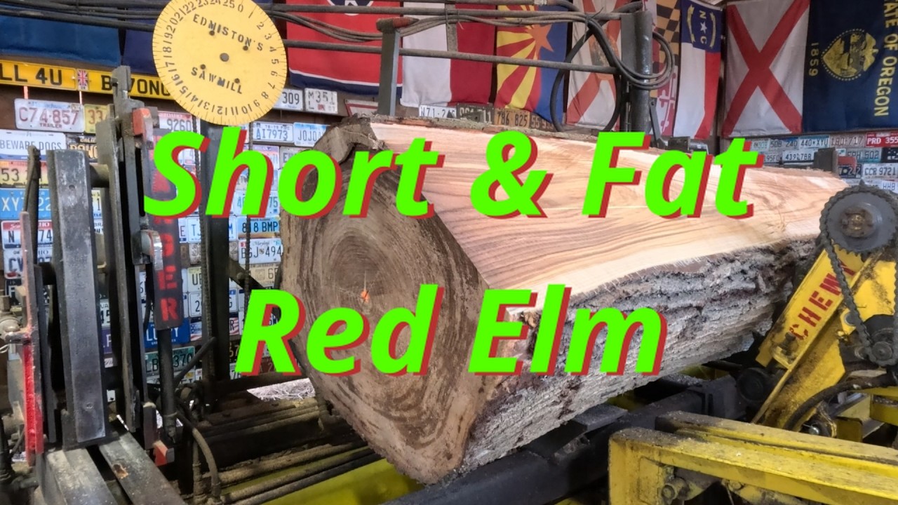 Sawing a short & fat red elm log # 842