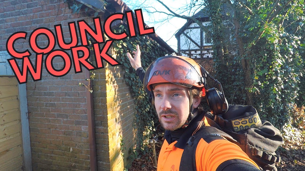 Tree Pruning on a Council Contract [UK Climbing Arborist]
