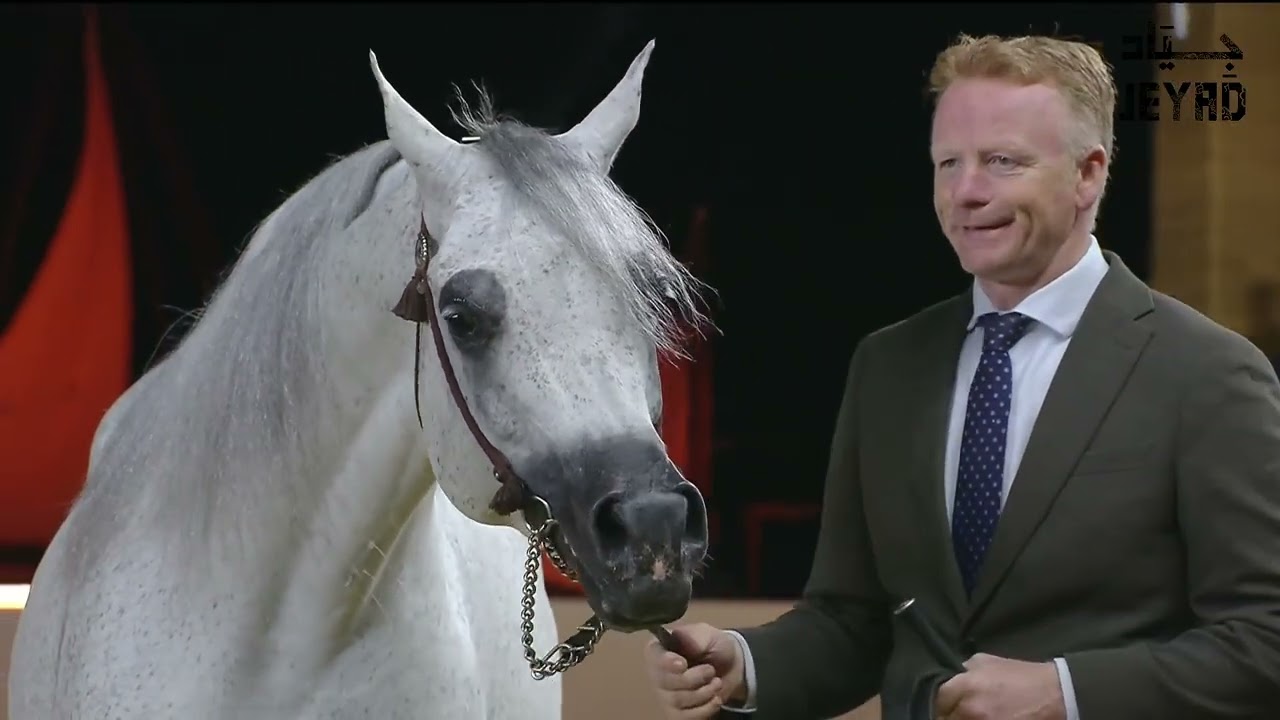 Group presentation   Stallions 7 10 Years Old Class 11