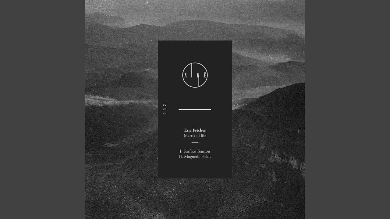 Magnetic Fields (Original Mix)