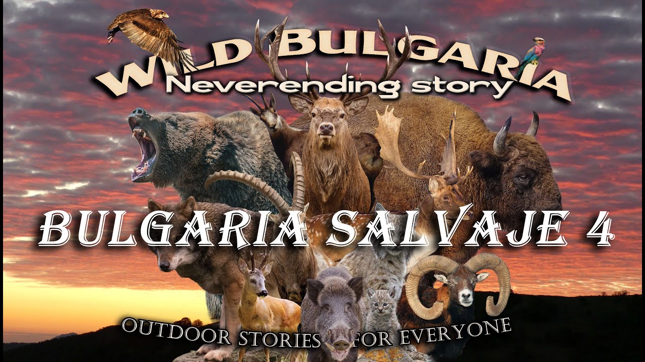 🦔🌈❄️Bulgaria salvaje 4: 🐺Historia interminable 🤖💯(IA 100% narración y traducción.)🌨️ - WB 04