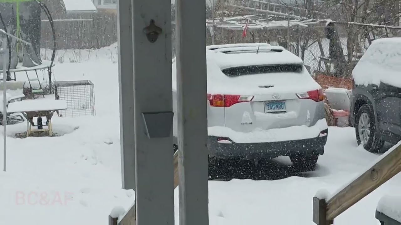 🇺🇸🇬🇾Snow Storm 2026 🇬🇾🇺🇸Favorite Food🇬🇾