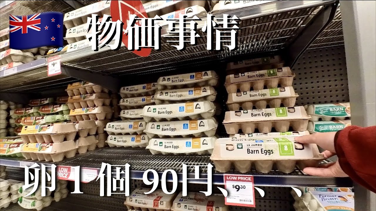 【物価事情】ニュージーランド、ファーム生活でのリアルな１週間の食費がこちらです、、
