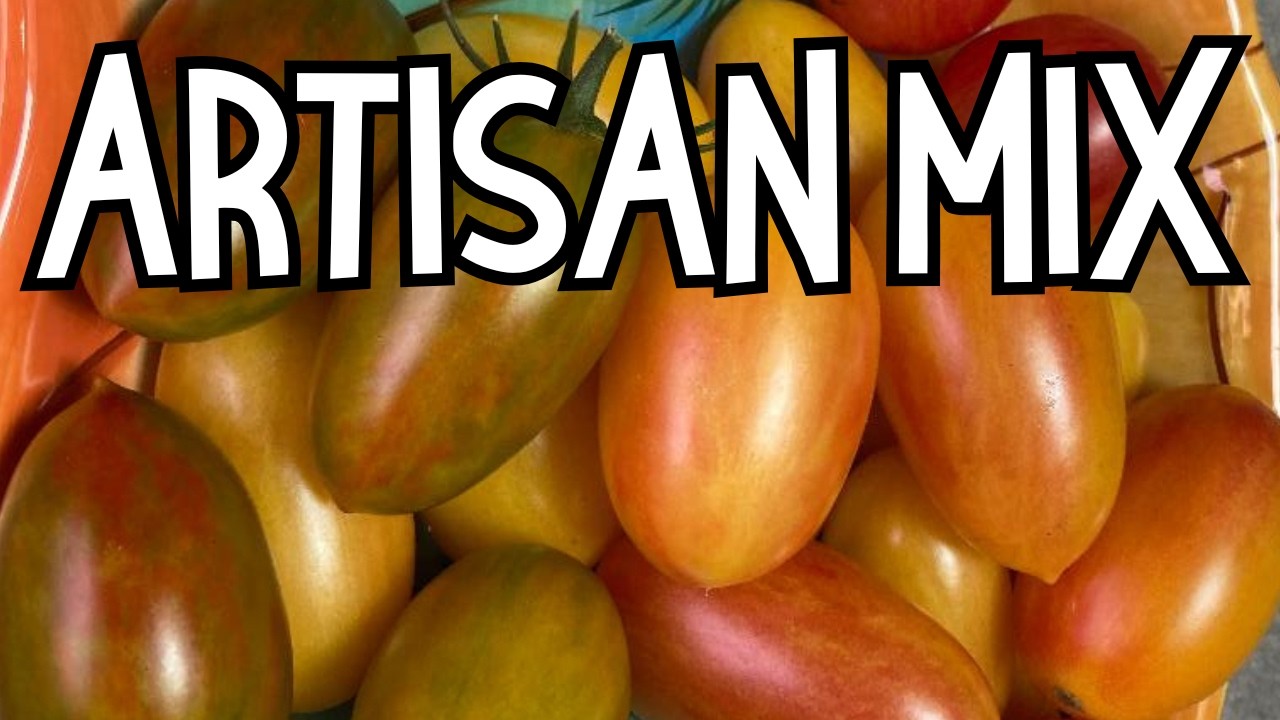 Raised bed gardening | ARTISAN MIX tomatoes | Growing tomatoes from seed to harvest #raisedgardenbed