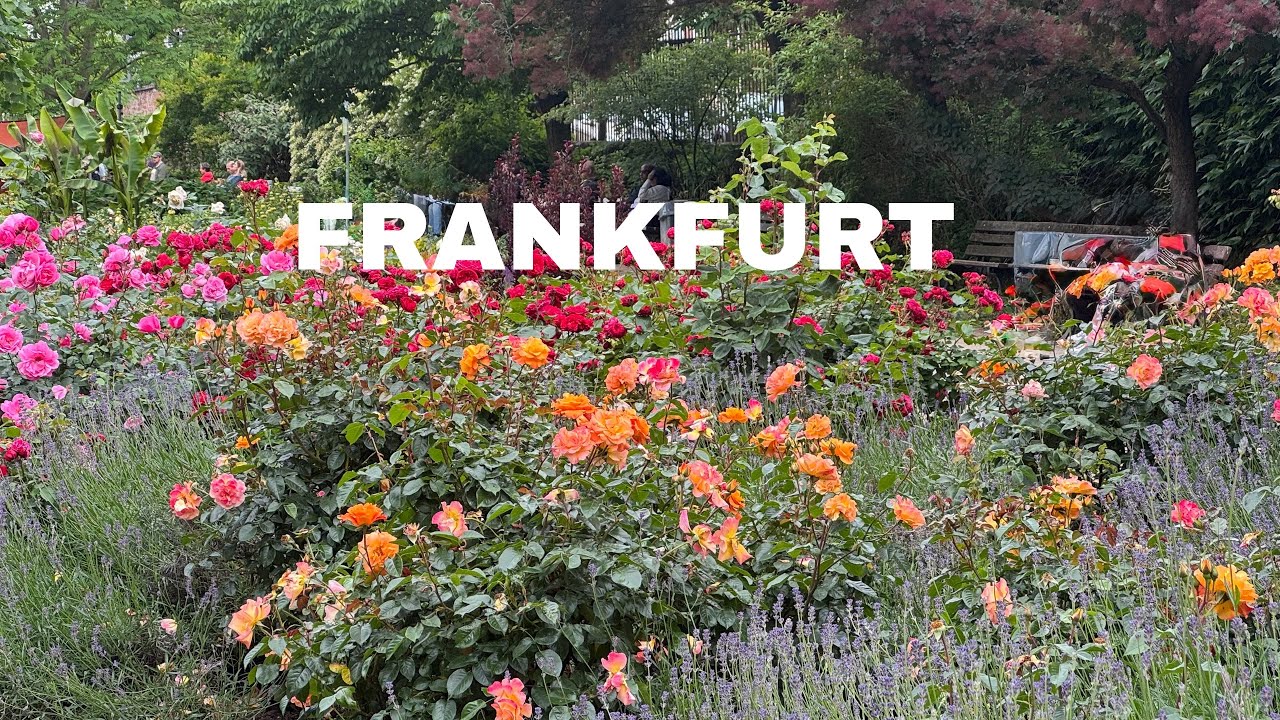 [4K] 🇩🇪 Bethmann Park in Frankfurt 🌸🌺 only Walk no Talk # frankfurt#bethmannpark#germany