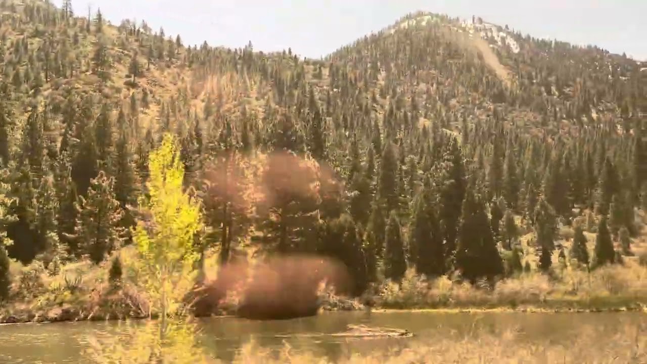 On @amtrak (RNO) Reno, NV back up towards (TRU) Truckee, CA 5/1/2024