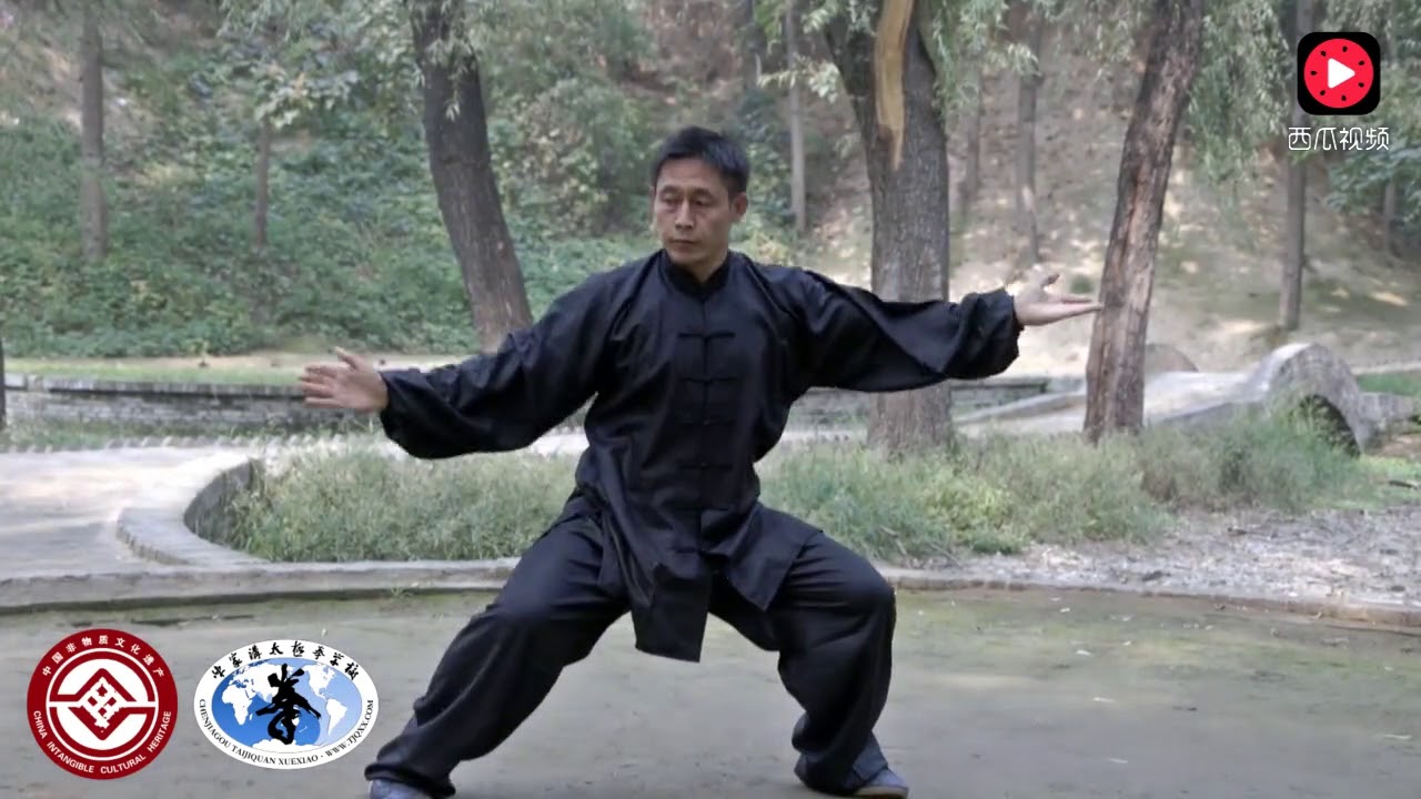 陳家溝陳氏第二十世嫡宗傳人 陳自強 Chen Ziqiang