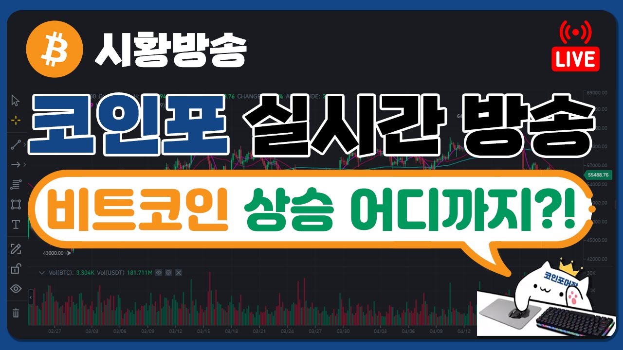 코인포의 비트코인 분석