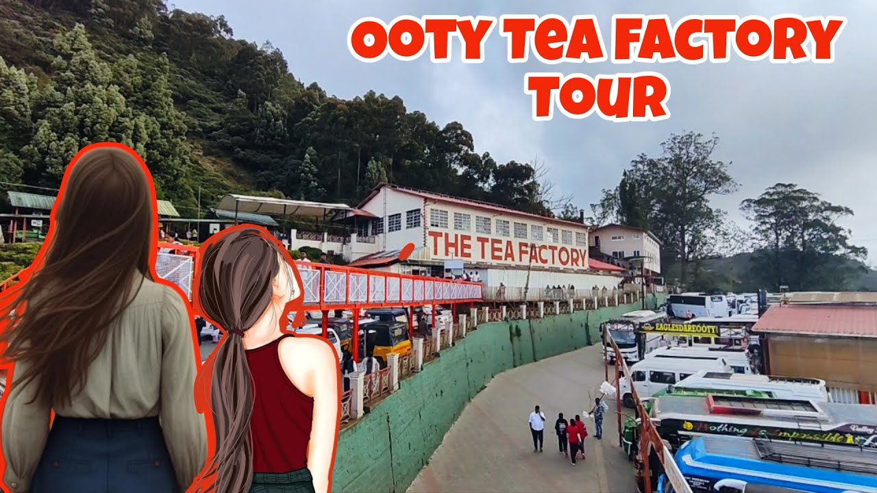 Ooty Tea Factory Tour #ooty #youtube #trending #viralvideos 