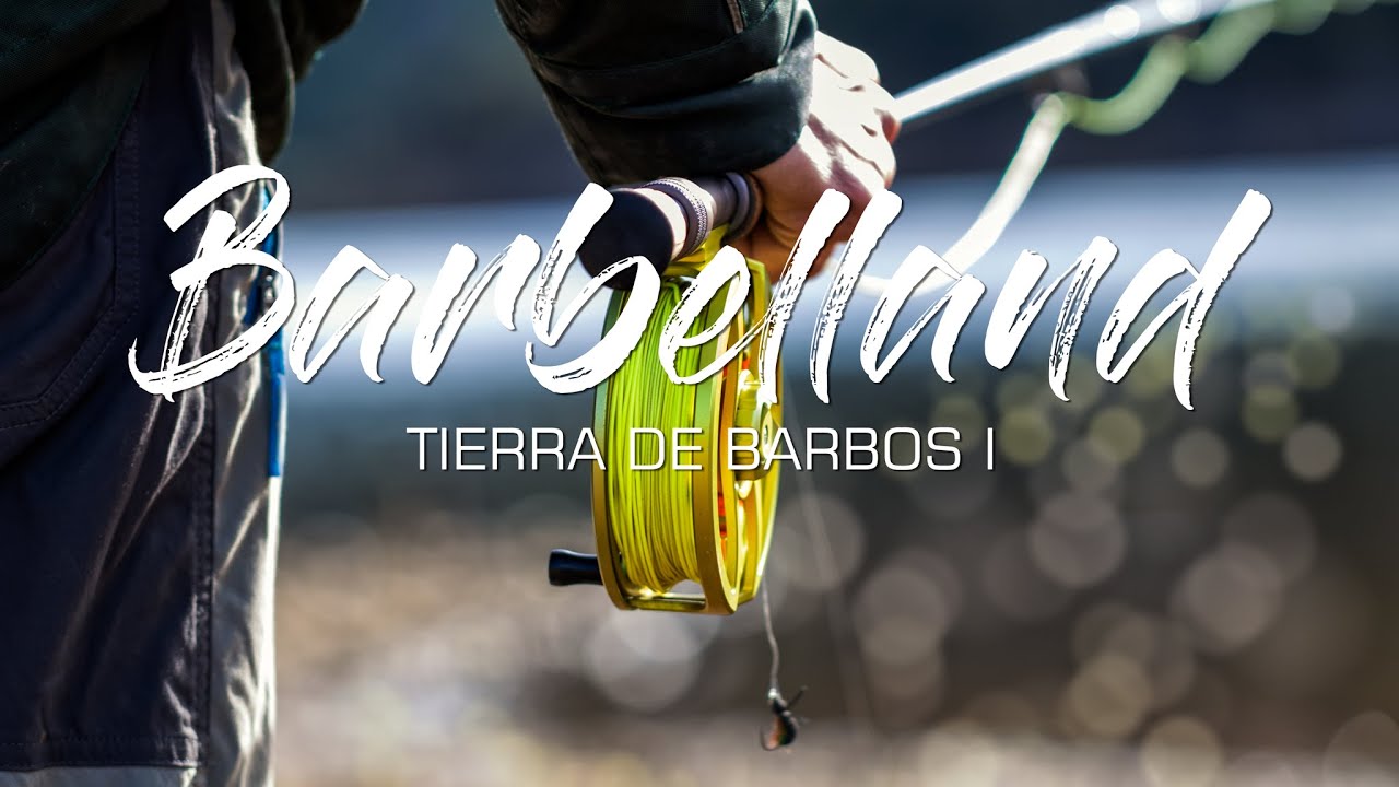 Barbelland, tierra de barbos I