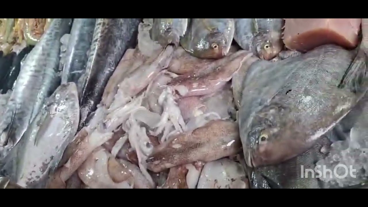 Mihraj fish market kettaghel to day fish