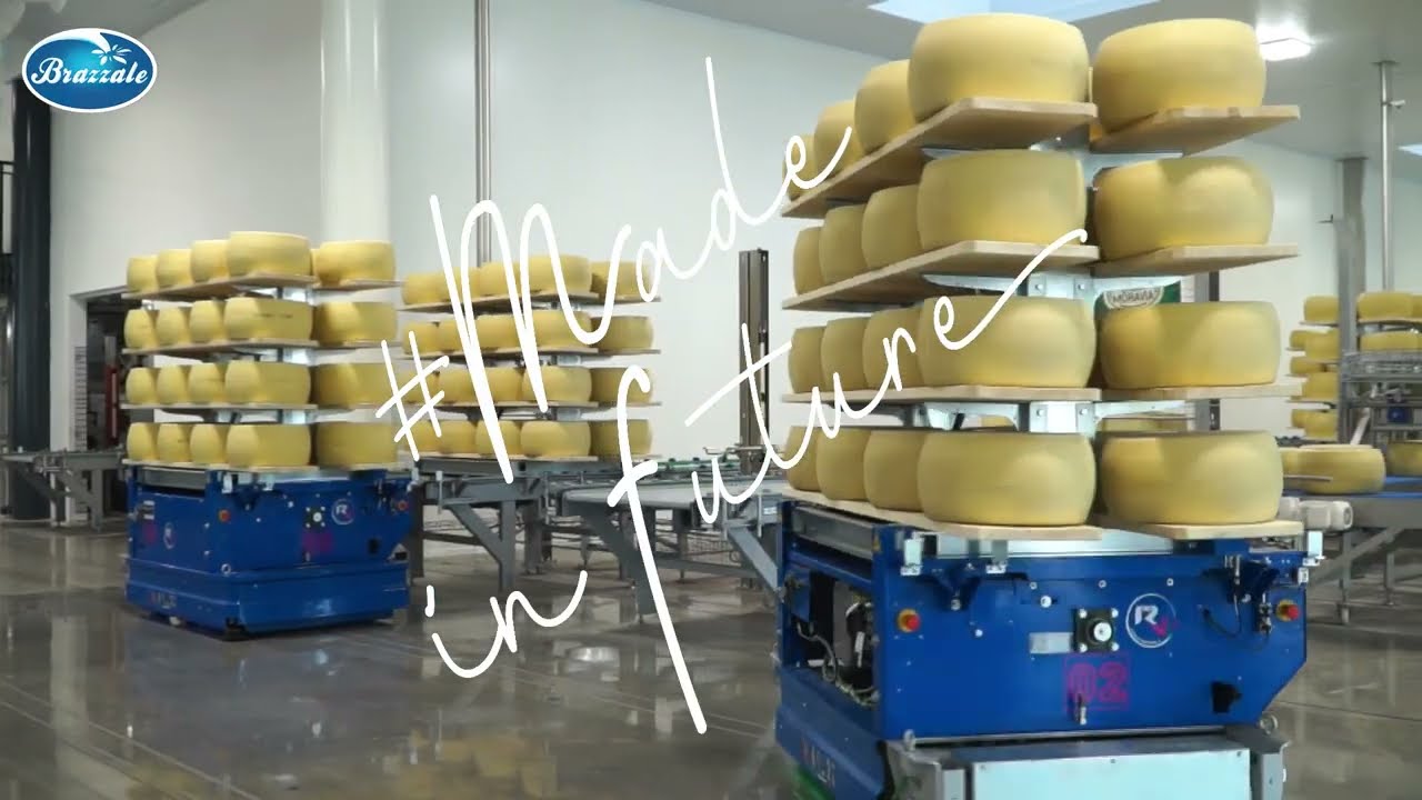 Discover Brazzale Company